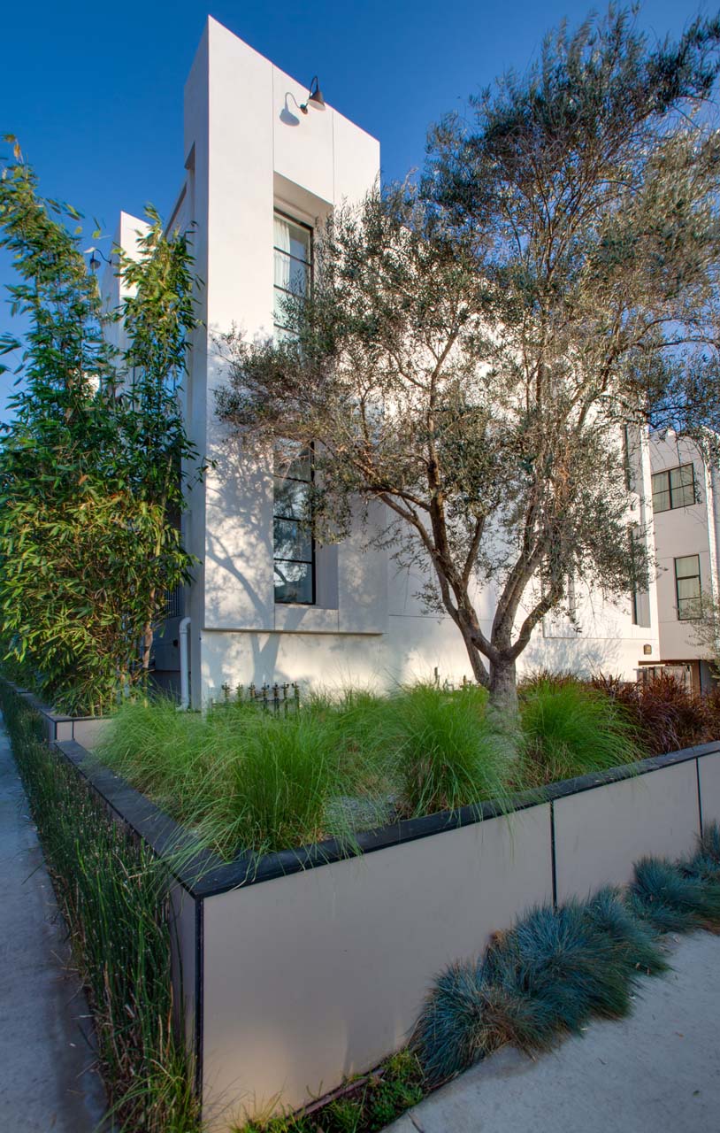 California townhouse exterior with planters